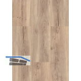 LICO Vinylboden HDF Eco Line, Herbsteiche Creme, 9,5 mm