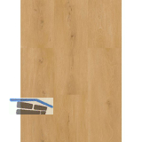 LICO Vinylboden Hydro Basic Eco Line, Buche Natur, 6,2 mm