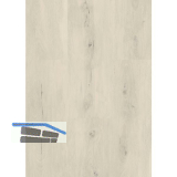 LICO Vinylboden Hydro Basic Eco Line, Buche Wei�, 6,2 mm