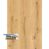 LICO Vinylboden Hydro Rigid Mega Line, Roheiche Synchro XL, 5,5 mm