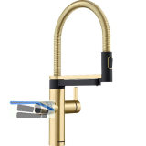 BLANCO K�chenarmatur EVOL-S Pro Soda & Filter 527427 druckfest Satin Gold